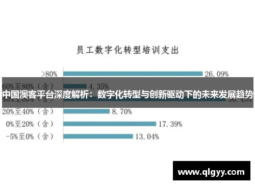 中国澳客平台深度解析：数字化转型与创新驱动下的未来发展趋势
