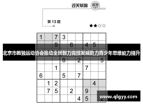 北京市数独运动协会推动全民智力竞技发展助力青少年思维能力提升