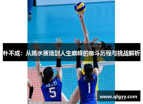 朴不成：从跳水赛场到人生巅峰的奋斗历程与挑战解析