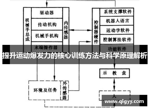 提升运动爆发力的核心训练方法与科学原理解析