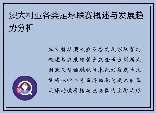 澳大利亚各类足球联赛概述与发展趋势分析