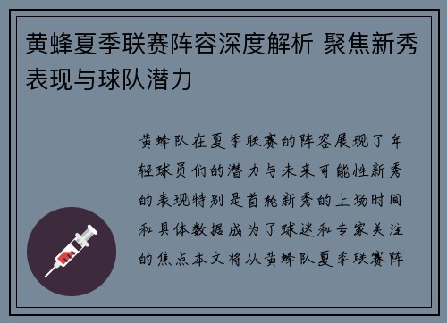 黄蜂夏季联赛阵容深度解析 聚焦新秀表现与球队潜力