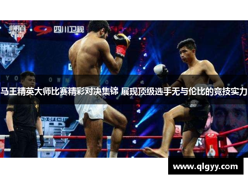 马王精英大师比赛精彩对决集锦 展现顶级选手无与伦比的竞技实力